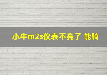 小牛m2s仪表不亮了 能骑